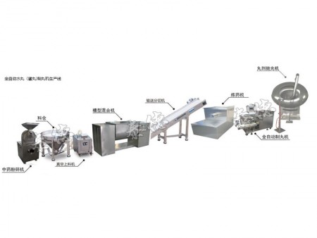 全自動(dòng)水丸（蜜丸)制丸機(jī)生產(chǎn)線